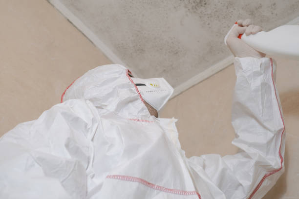 Mold Testing and Removal in Snyder, TX